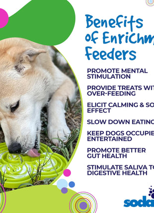Water Frog eTray - Shallow Slow Feeder Dog Bowl for Enrichment | USA Made
