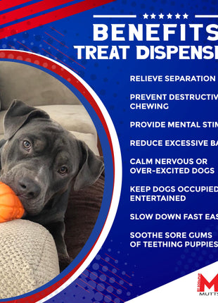 Jack O' Lantern Dog Toy - Durable Halloween Chew Toy for Large Dogs | USA Made