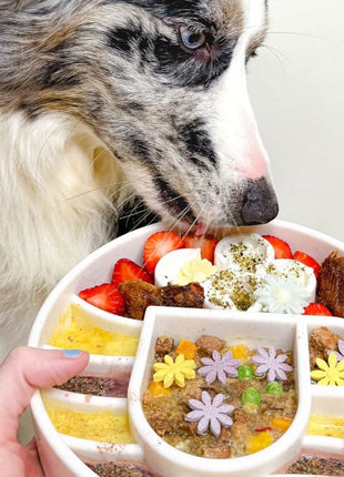 Java eBowl Deep Slow Feeder Dog Bowl for Enrichment | USA Made