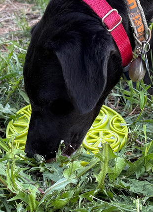 Citrus Design eMat - Enrichment Lick Mat For Dogs and Cats - with Suction Cups | USA Made