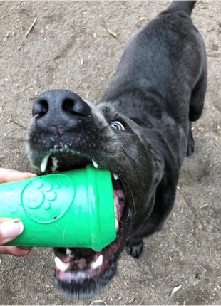 Coffee Cup Rubber Dog Chew Toy for Power Chewers | Treat Dispenser | USA Made