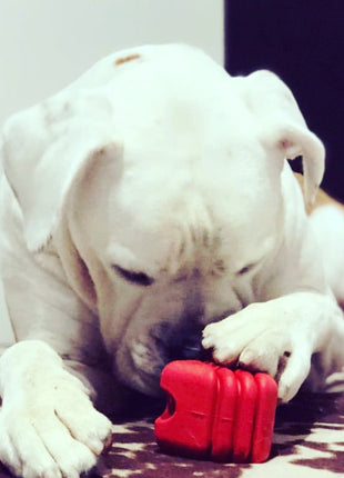 Heart on a String Dog Toy - Durable Rubber Tug Toy for Large Dogs | USA Made