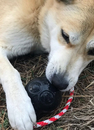 USA-K9 Skull Dog Chew Toy & Treat Dispenser - Made in USA | SodaPup