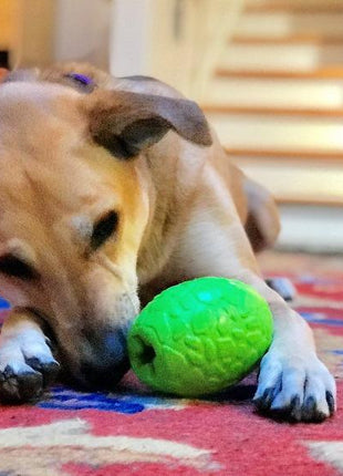 Dinosaur Egg Dog Chew Toy & Treat Dispenser - USA Made | SodaPup
