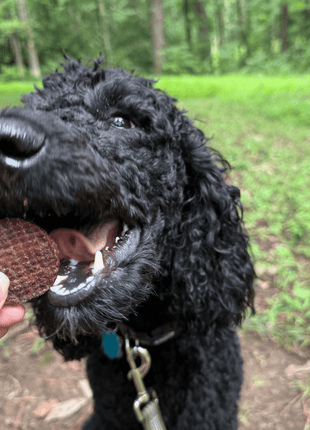 Beef Chips Dog Treats | Single-Ingredient Healthy Treats for Dogs