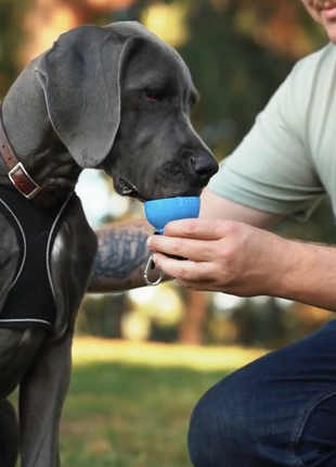Dog Water Bottle: Never Walk Alone