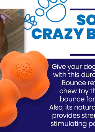 Crazy Bounce Rubber Dog Chew Toy for Power Chewers | Retrieving Ball | USA Made