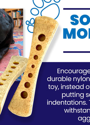 MOD Bone Nylon Dog Chew Toy for Aggressive Chewers | USA Made