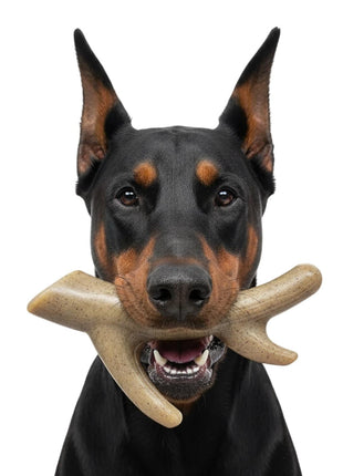Ever Antler Nylon Chew Bone | Elk Antler Shaped Dog Toy for Aggressive Chewers | SodaPup