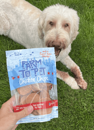 Chicago Chicken Chips for Dogs | Dog Treats To Celebrate Our Hometown