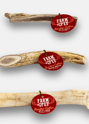 Reindeer Antler Dog Chews | Organic Chews for Dogs