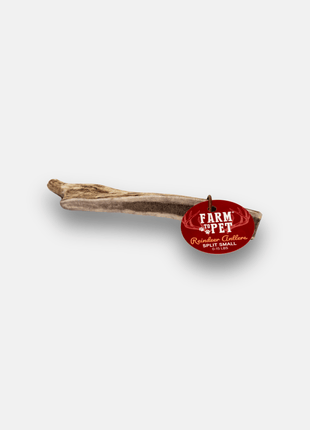 Reindeer Antler Dog Chews | Organic Chews for Dogs