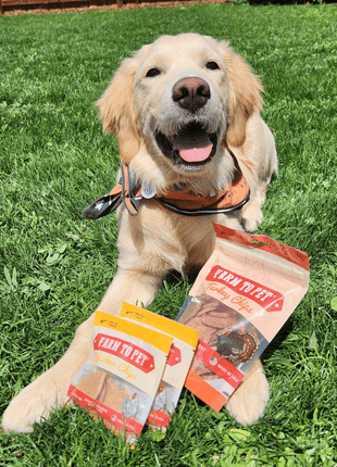 Puppy Packs 'n Snacks Dog Treat Starter Pack | Single-Ingredient Training Treats