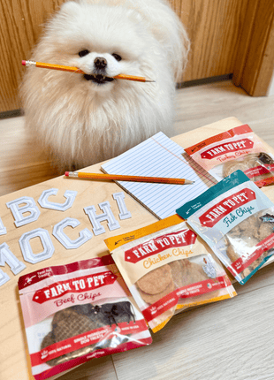 Snack Pack Dog Treat Sampler