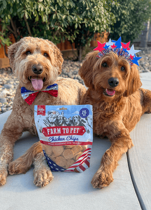Americana Chicken Chips for Dogs | Celebrate with USA-made Dog Treats