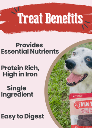 Beef Chips Snack Pack Bundles | Dog Treats for Training & Travel