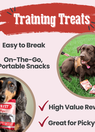 Beef Chips Snack Pack Bundles | Dog Treats for Training & Travel