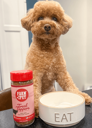 Treat Topper Beef Dog Food Topper | Powdered Meal Topper for Pets