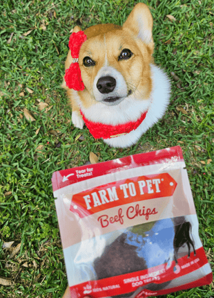 Beef Chips Snack Pack Bundles | Dog Treats for Training & Travel