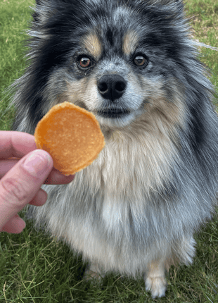 Chicago Chicken Chips for Dogs | Dog Treats To Celebrate Our Hometown