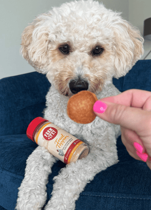 Treat Topper Chicken Dog Food Topper | Healthy Meal Supplement for Dogs