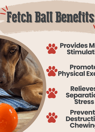 Dog Fetch Balls