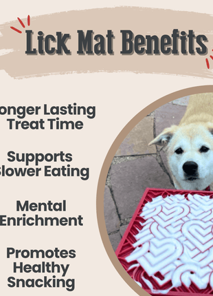 Dog Lick Mats