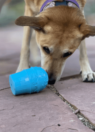 Dog Treat Dispensers
