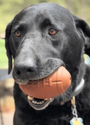 Dog Treat Dispensers