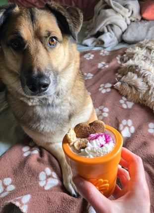 Dog Treat Dispensers