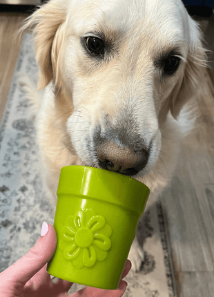 Dog Treat Dispensers
