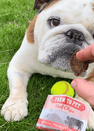 Beef Chips Snack Pack Bundles | Dog Treats for Training & Travel