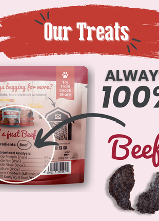 Beef Chips Snack Pack Bundles | Dog Treats for Training & Travel
