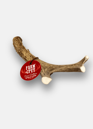 Deer Antler Dog Chews | Organic Chews for Dogs