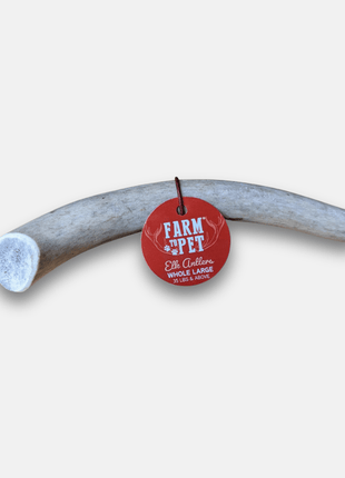 Elk Antler Dog Chews | All-Natural Whole and Split Elk Antler Chews for Dogs