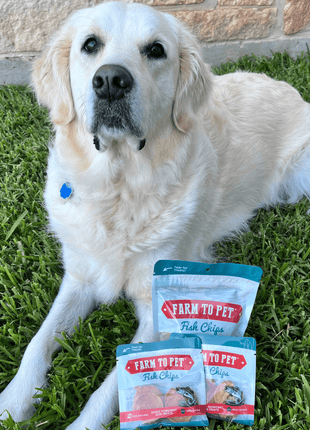 Fish Chips Snack Pack Bundles | Dog Treats for Training & Travel