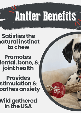 Reindeer Antler Dog Chews | Organic Chews for Dogs