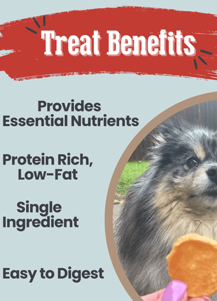 Fish Chips Snack Pack Bundles | Dog Treats for Training & Travel