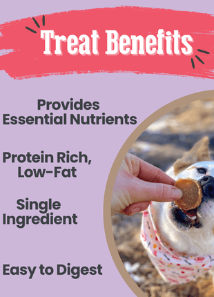 Puppy Love Dog Treat Duo | Poultry Chip Variety Pack