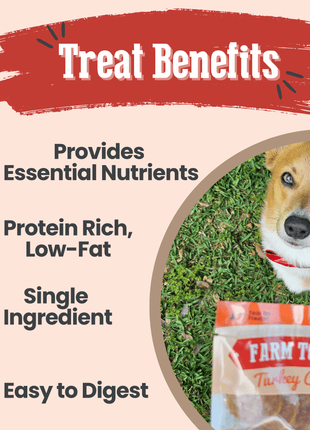 Turkey Chips Snack Pack Bundles | Low Allergen Treats for Training