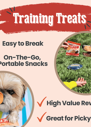 Turkey Chips Snack Pack Bundles | Low Allergen Treats for Training