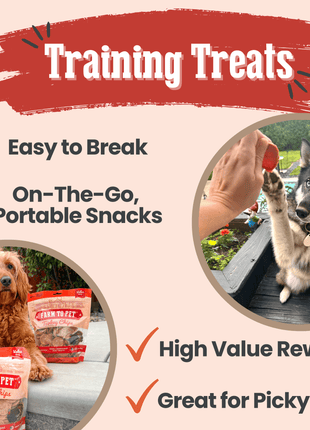 Turkey Chips for Dogs | All-Natural Single-Ingredient Healthy Dog Treats