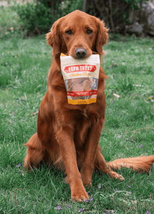 Chicken Chips for Dogs | All-Natural Single-Ingredient Dog Treats