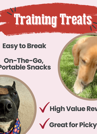 Beef Chips Dog Treats | Single-Ingredient Healthy Treats for Dogs