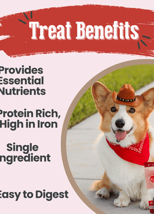 Beef Chips Dog Treats | Single-Ingredient Healthy Treats for Dogs