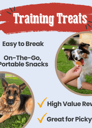 Americana Chicken Chips for Dogs | Celebrate with USA-made Dog Treats