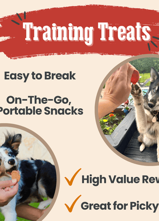 Turkey & Chicken Chip Dog Treat Duo | Single-Ingredient Poultry Treats for Dogs