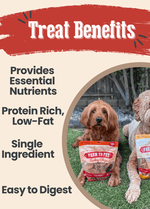 Turkey & Chicken Chip Dog Treat Duo | Single-Ingredient Poultry Treats for Dogs