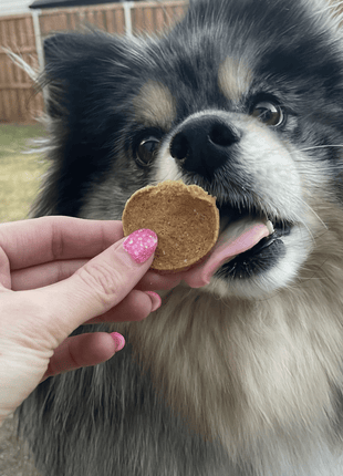 Fish Chips for Dogs | Wild-Caught Fish Dog Treats