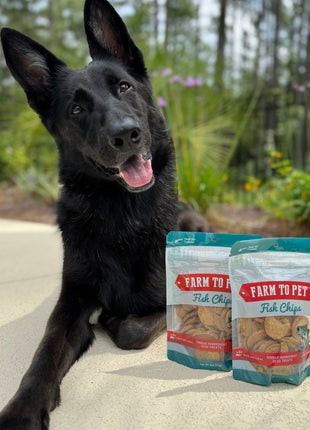 Fish Chips for Dogs | Wild-Caught Fish Dog Treats